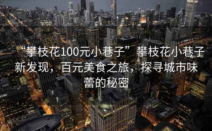 “攀枝花100元小巷子”攀枝花小巷子新發(fā)現，百元美食之旅，探尋城市味蕾的秘密