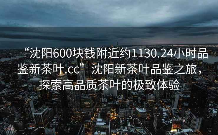 “沈陽(yáng)600塊錢(qián)附近約1130.24小時(shí)品鑒新茶葉.cc”沈陽(yáng)新茶葉品鑒之旅，探索高品質(zhì)茶葉的極致體驗