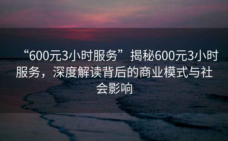 “600元3小時(shí)服務(wù)”揭秘600元3小時(shí)服務(wù)，深度解讀背后的商業(yè)模式與社會(huì )影響
