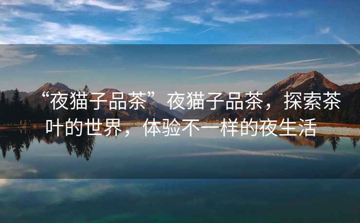 “夜貓子品茶”夜貓子品茶，探索茶葉的世界，體驗不一樣的夜生活