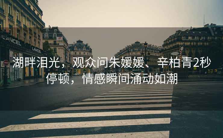 湖畔淚光，觀(guān)眾問(wèn)朱媛媛、辛柏青2秒停頓，情感瞬間涌動(dòng)如潮