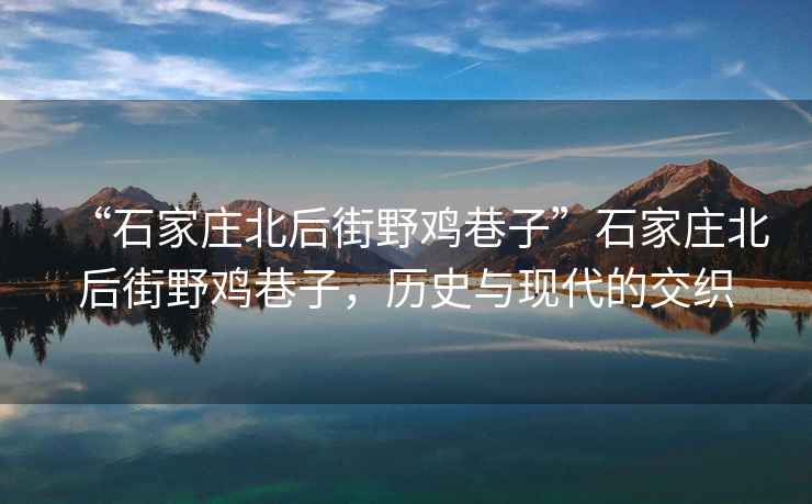 “石家莊北后街野雞巷子”石家莊北后街野雞巷子，歷史與現代的交織