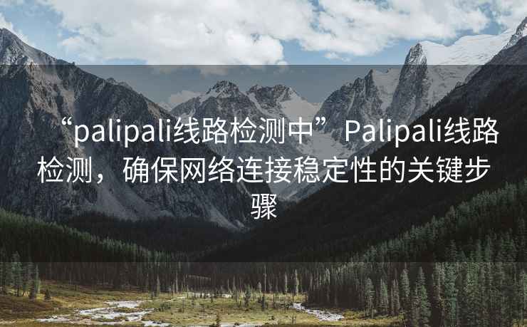 “palipali線(xiàn)路檢測中”P(pán)alipali線(xiàn)路檢測，確保網(wǎng)絡(luò )連接穩定性的關(guān)鍵步驟