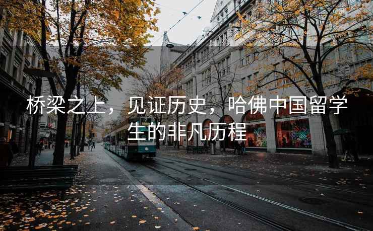 橋梁之上，見(jiàn)證歷史，哈佛中國留學(xué)生的非凡歷程