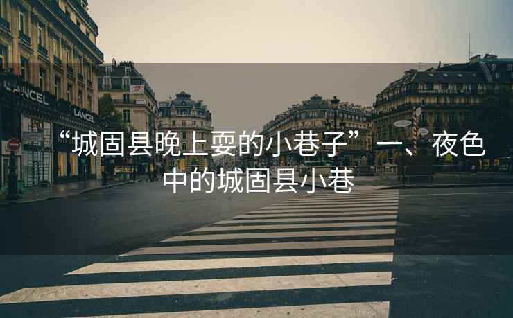 “城固縣晚上耍的小巷子”一、夜色中的城固縣小巷