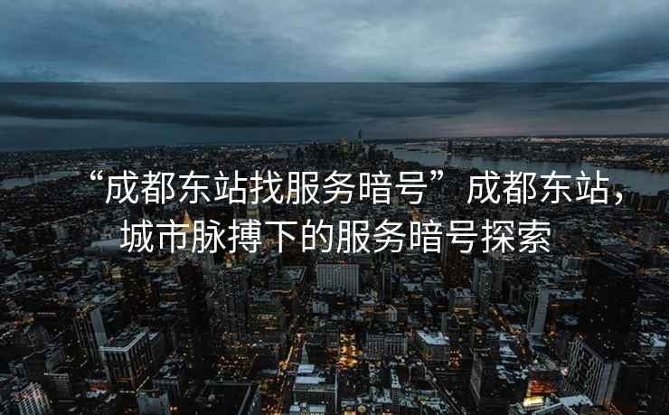 “成都東站找服務(wù)暗號”成都東站，城市脈搏下的服務(wù)暗號探索