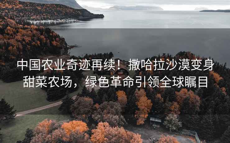 中國農業(yè)奇跡再續！撒哈拉沙漠變身甜菜農場(chǎng)，綠色革命引領(lǐng)全球矚目