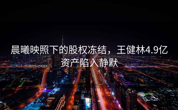 晨曦映照下的股權凍結，王健林4.9億資產(chǎn)陷入靜默