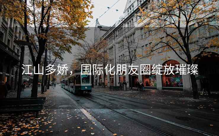江山多嬌，國際化朋友圈綻放璀璨