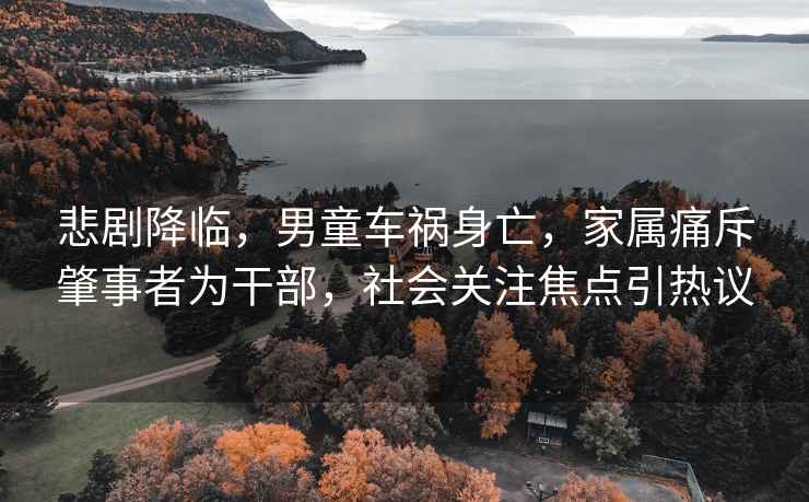 悲劇降臨，男童車(chē)禍身亡，家屬痛斥肇事者為干部，社會(huì )關(guān)注焦點(diǎn)引熱議