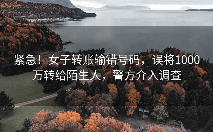 緊急！女子轉賬輸錯號碼，誤將1000萬(wàn)轉給陌生人，警方介入調查