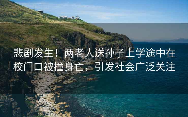 悲劇發(fā)生！兩老人送孫子上學(xué)途中在校門(mén)口被撞身亡，引發(fā)社會(huì )廣泛關(guān)注