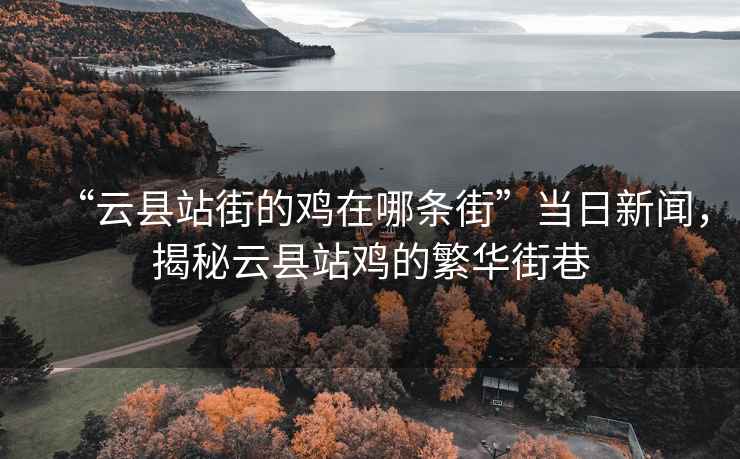 “云縣站街的雞在哪條街”當日新聞，揭秘云縣站雞的繁華街巷