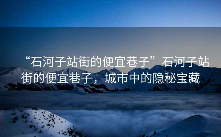 “石河子站街的便宜巷子”石河子站街的便宜巷子，城市中的隱秘寶藏