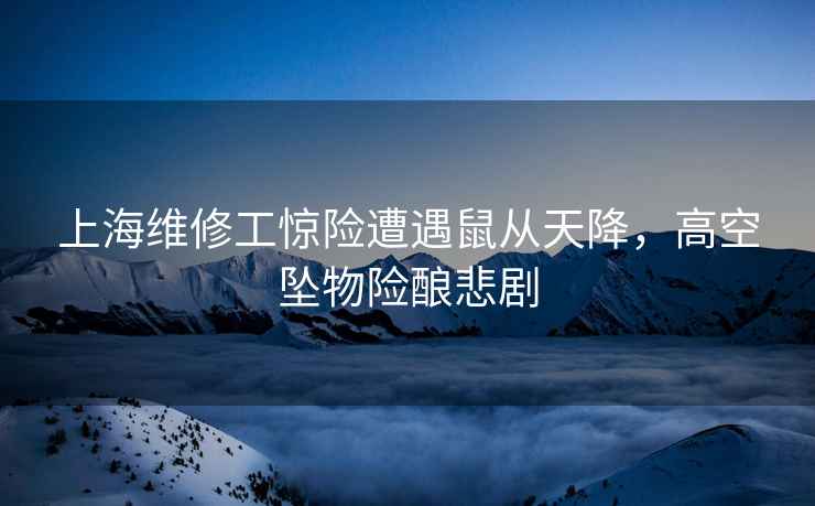 上海維修工驚險遭遇鼠從天降，高空墜物險釀悲劇