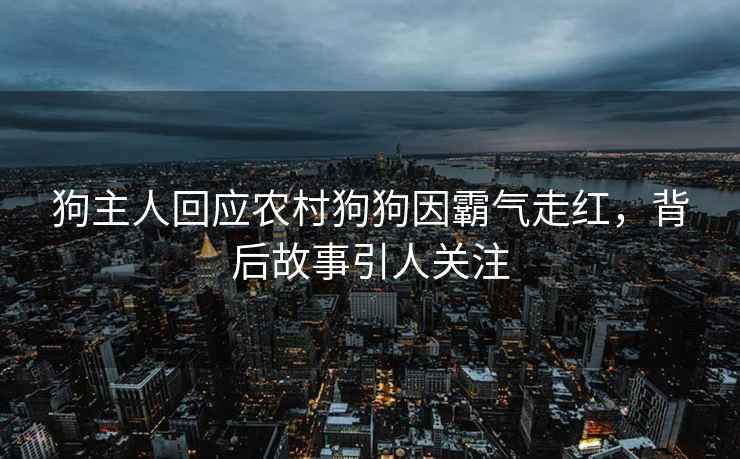 狗主人回應農村狗狗因霸氣走紅，背后故事引人關(guān)注