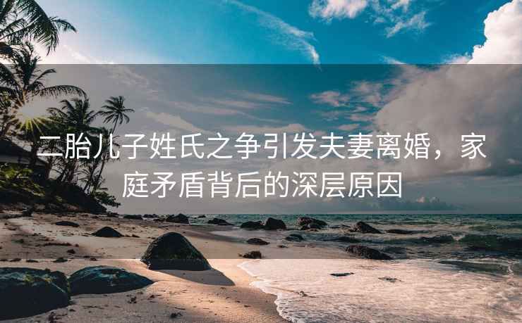 二胎兒子姓氏之爭引發(fā)夫妻離婚，家庭矛盾背后的深層原因