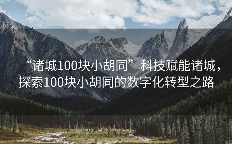 “諸城100塊小胡同”科技賦能諸城，探索100塊小胡同的數字化轉型之路