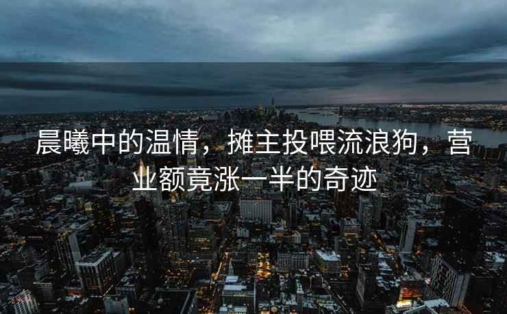 晨曦中的溫情，攤主投喂流浪狗，營(yíng)業(yè)額竟漲一半的奇跡