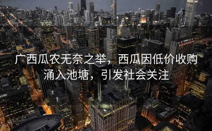 廣西瓜農無(wú)奈之舉，西瓜因低價(jià)收購涌入池塘，引發(fā)社會(huì )關(guān)注