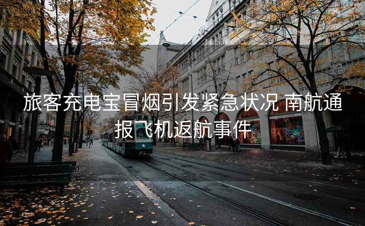 旅客充電寶冒煙引發(fā)緊急狀況 南航通報飛機返航事件
