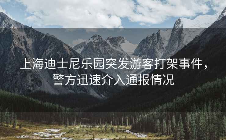 上海迪士尼樂(lè )園突發(fā)游客打架事件，警方迅速介入通報情況