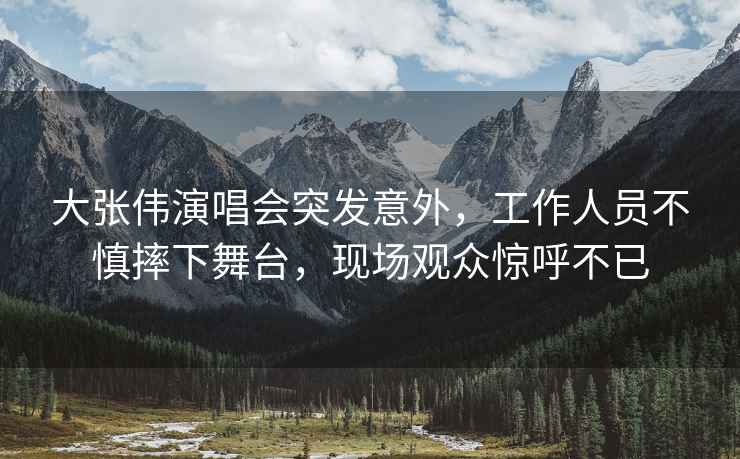 大張偉演唱會(huì )突發(fā)意外，工作人員不慎摔下舞臺，現場(chǎng)觀(guān)眾驚呼不已