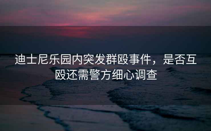 迪士尼樂(lè )園內突發(fā)群毆事件，是否互毆還需警方細心調查