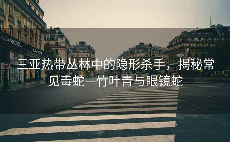 三亞熱帶叢林中的隱形殺手，揭秘常見(jiàn)毒蛇—竹葉青與眼鏡蛇
