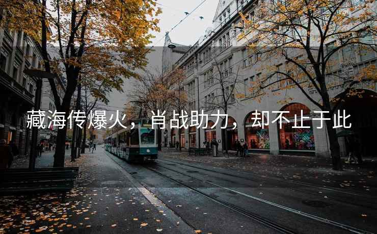 藏海傳爆火，肖戰助力，卻不止于此