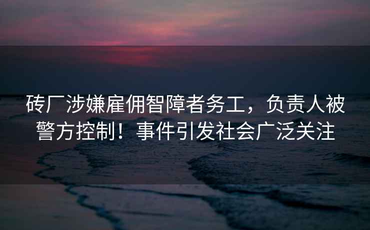 磚廠(chǎng)涉嫌雇傭智障者務(wù)工，負責人被警方控制！事件引發(fā)社會(huì )廣泛關(guān)注