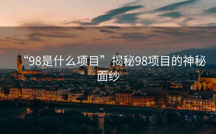 “98是什么項目”揭秘98項目的神秘面紗