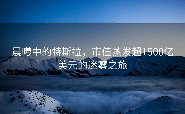 晨曦中的特斯拉，市值蒸發(fā)超1500億美元的迷霧之旅