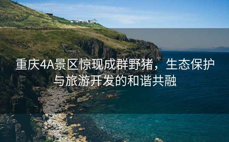 重慶4A景區驚現成群野豬，生態(tài)保護與旅游開(kāi)發(fā)的和諧共融