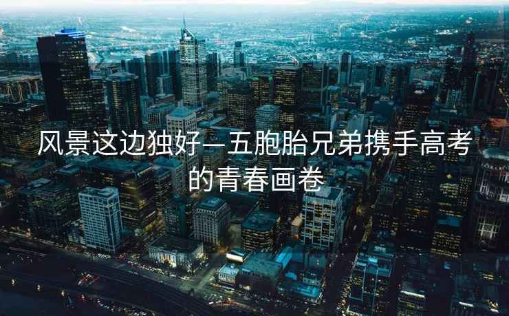 風(fēng)景這邊獨好—五胞胎兄弟攜手高考的青春畫(huà)卷