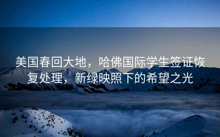美國春回大地，哈佛國際學(xué)生簽證恢復處理，新綠映照下的希望之光