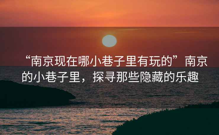 “南京現在哪小巷子里有玩的”南京的小巷子里，探尋那些隱藏的樂(lè )趣