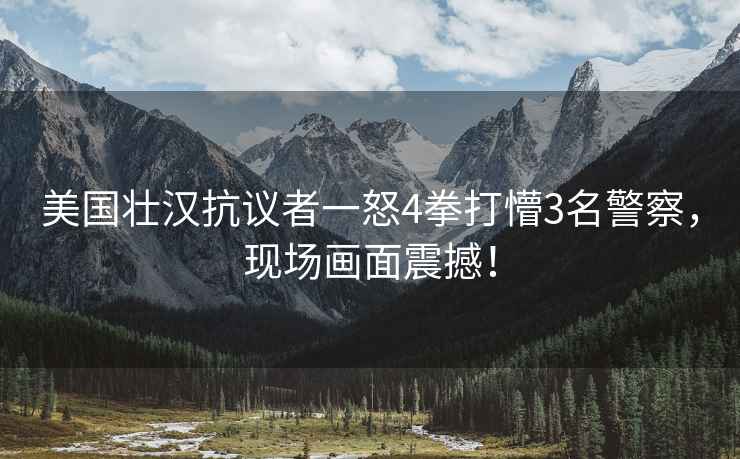 美國壯漢抗議者一怒4拳打懵3名警察，現場(chǎng)畫(huà)面震撼！