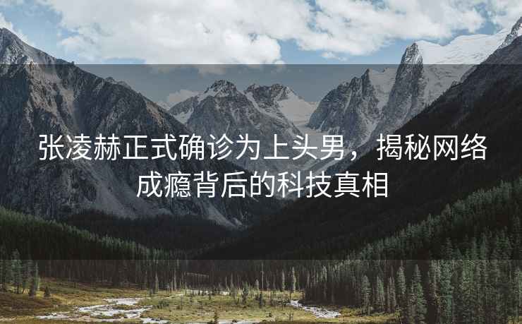 張凌赫正式確診為上頭男，揭秘網(wǎng)絡(luò )成癮背后的科技真相