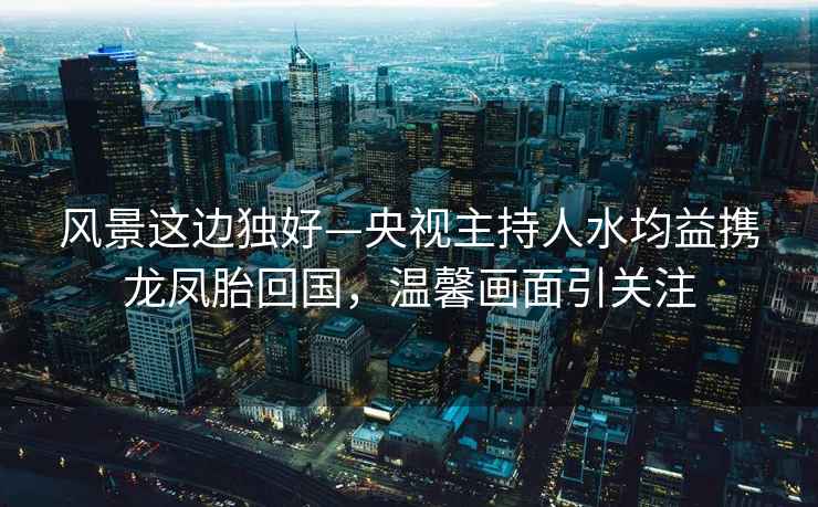 風(fēng)景這邊獨好—央視主持人水均益攜龍鳳胎回國，溫馨畫(huà)面引關(guān)注
