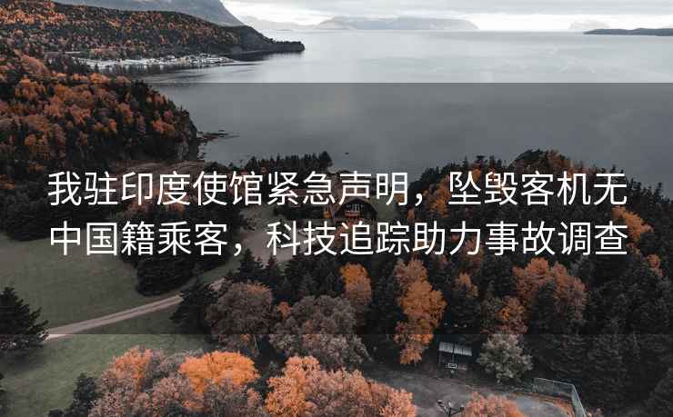 我駐印度使館緊急聲明，墜毀客機無(wú)中國籍乘客，科技追蹤助力事故調查