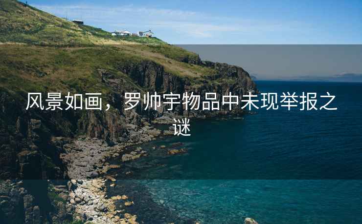 風(fēng)景如畫(huà)，羅帥宇物品中未現舉報之謎