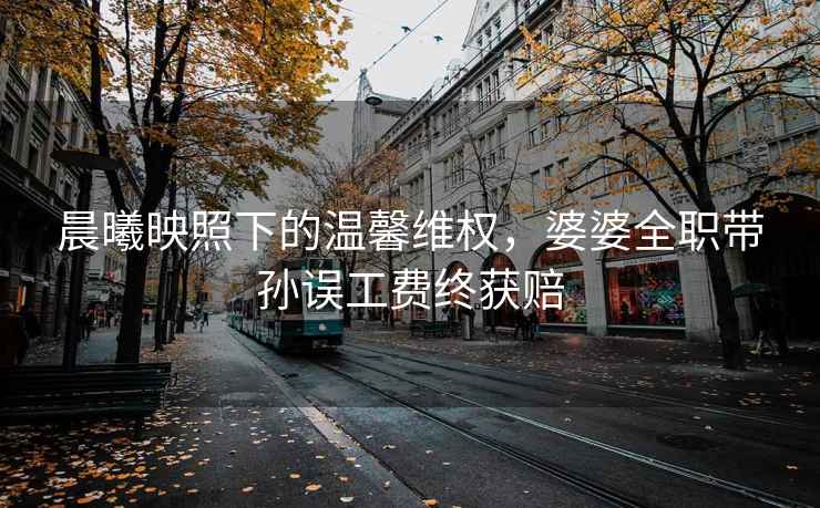 晨曦映照下的溫馨維權，婆婆全職帶孫誤工費終獲賠