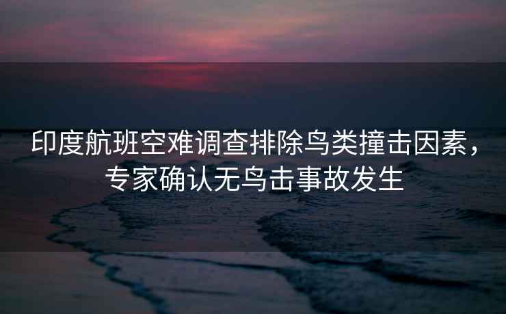 印度航班空難調查排除鳥(niǎo)類(lèi)撞擊因素，專(zhuān)家確認無(wú)鳥(niǎo)擊事故發(fā)生