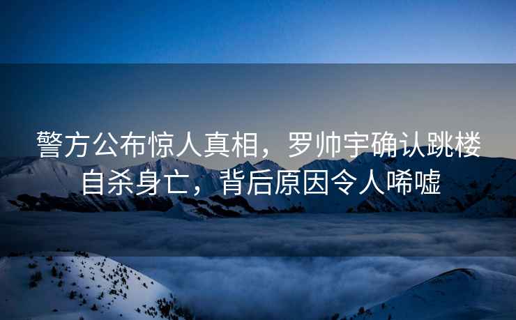 警方公布驚人真相，羅帥宇確認跳樓自殺身亡，背后原因令人唏噓