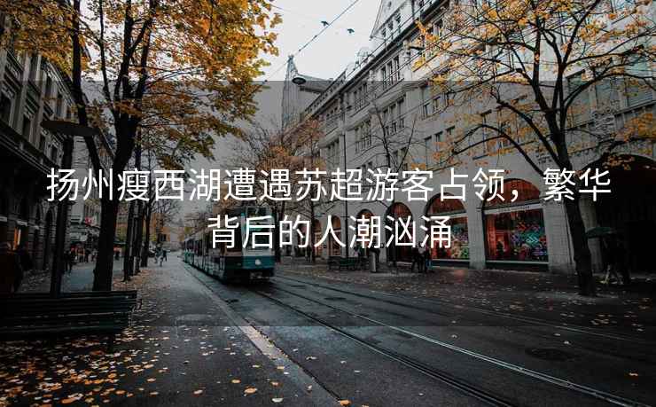 揚州瘦西湖遭遇蘇超游客占領(lǐng)，繁華背后的人潮洶涌