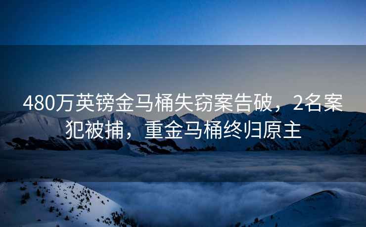 480萬(wàn)英鎊金馬桶失竊案告破，2名案犯被捕，重金馬桶終歸原主