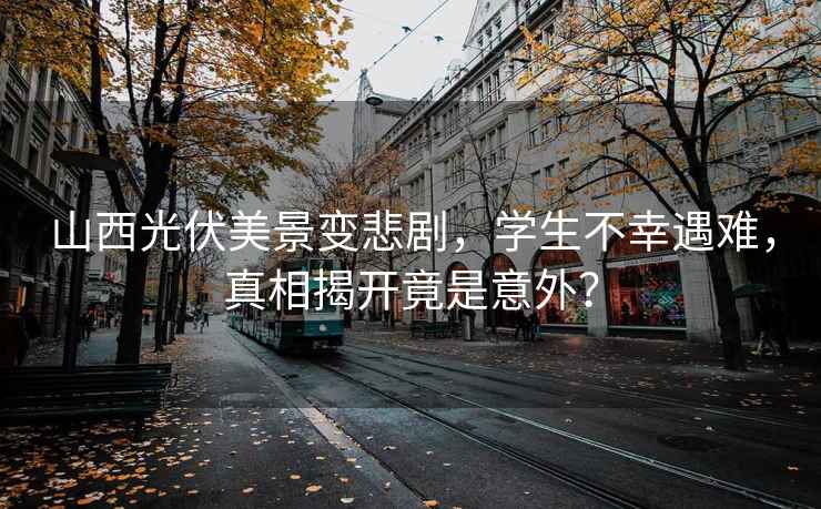 山西光伏美景變悲劇，學(xué)生不幸遇難，真相揭開(kāi)竟是意外？
