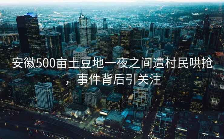 安徽500畝土豆地一夜之間遭村民哄搶?zhuān)录澈笠P(guān)注