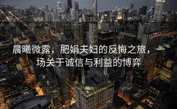 晨曦微露，肥娟夫婦的反悔之旅，一場(chǎng)關(guān)于誠信與利益的博弈